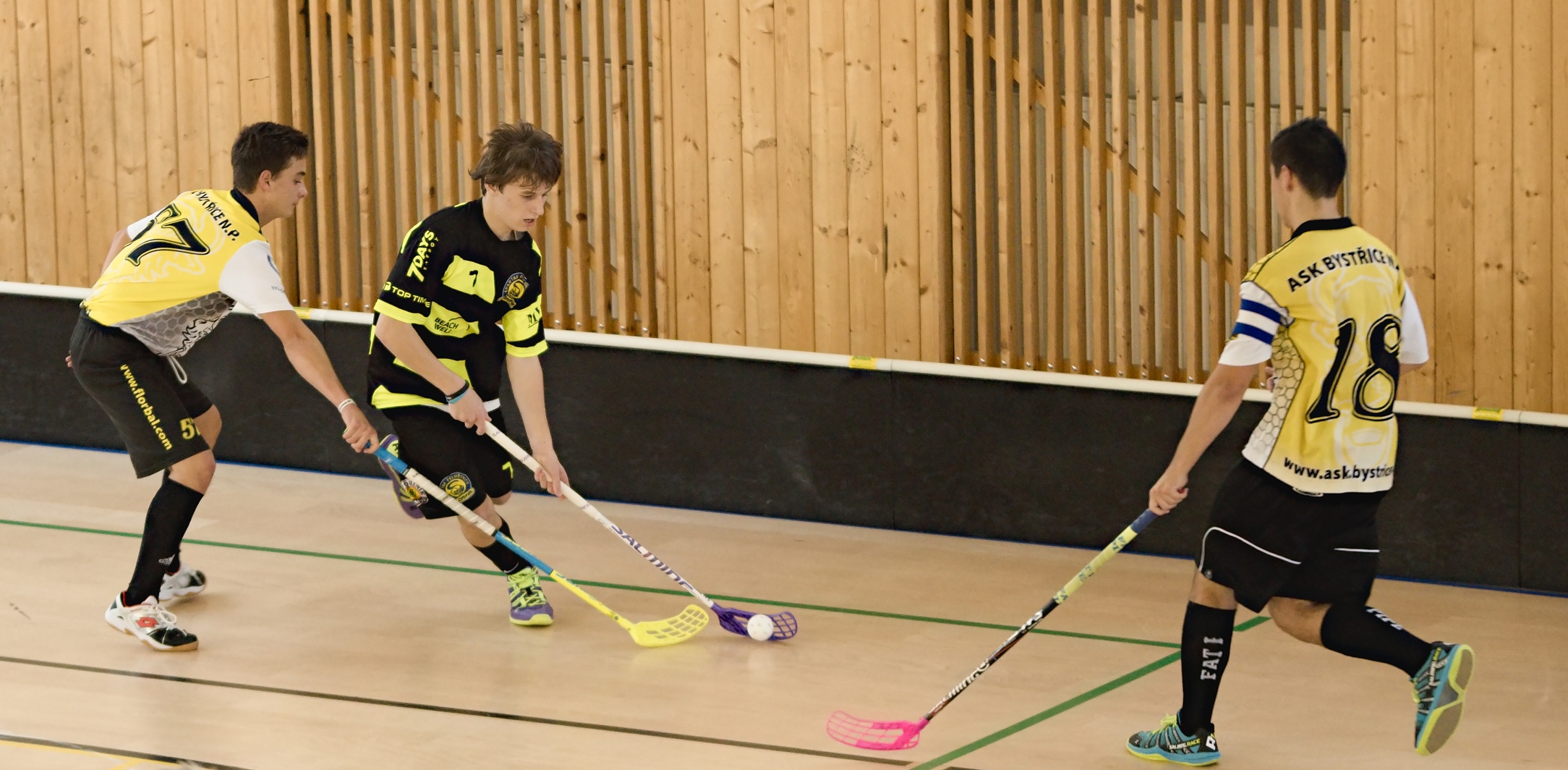 JunciLedec241015 189